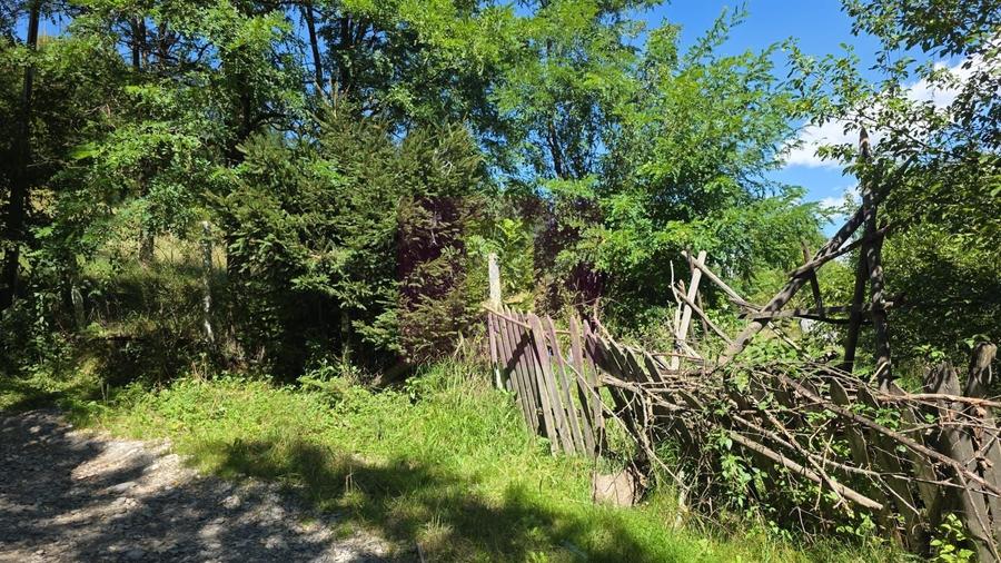 Teren Construcții intravilan de 1825 mp, în Valea Doftanei