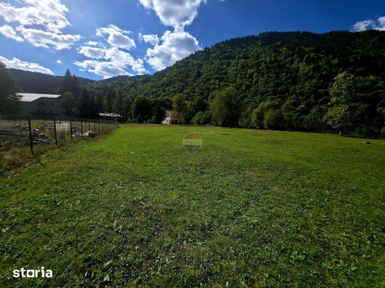 Teren de 1113 mp, în Tarcău
