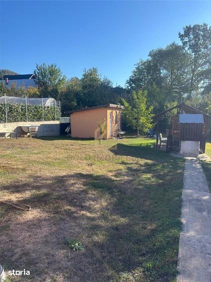 Casa de vanzare cu 13 Ar de teren Miron Costin - 4
