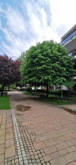 Apartament cu 4 camere în Dorobanți