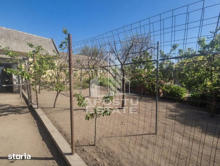 Casă cu 5 camere cu Teren 719 Mp în Periam