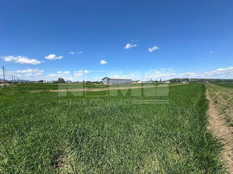 Teren Construcții extravilan de 2700 mp, în Central