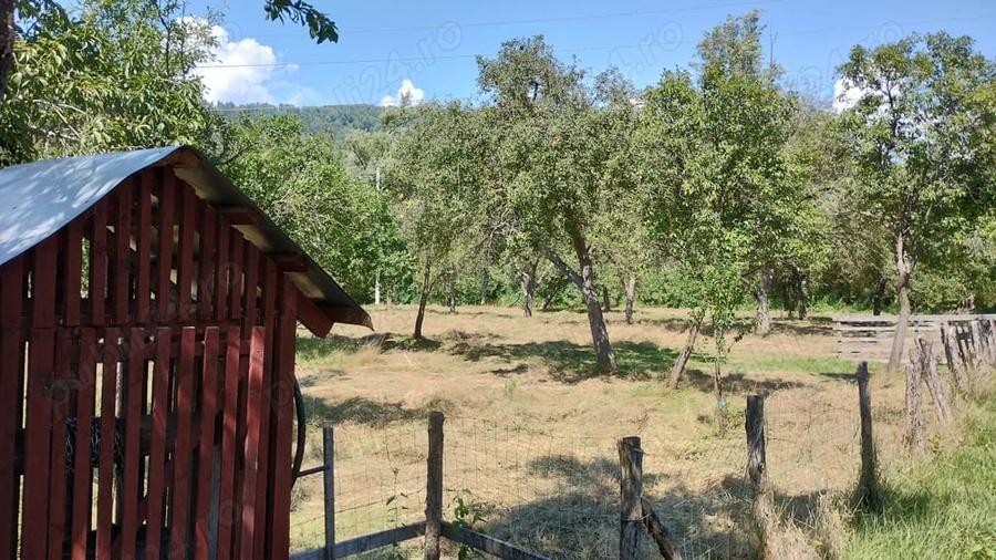 Teren de 9288 mp, în Bucova