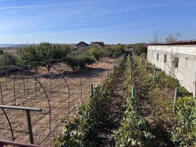 Casă individuală cu 5 camere cu Teren 2000 Mp în Câlnic