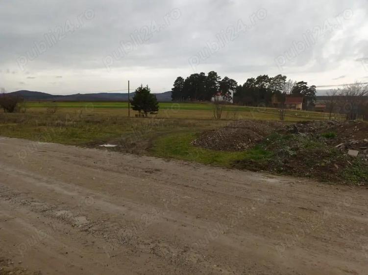 Teren de 2200 mp, în Valea Crișului