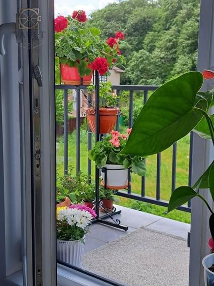 Apartament cu 3 camere semidecomandat, mobilat în Mogoșoaia