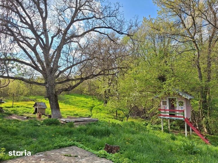 Casă cu 5 camere cu Teren 5950 Mp în Scorțeni