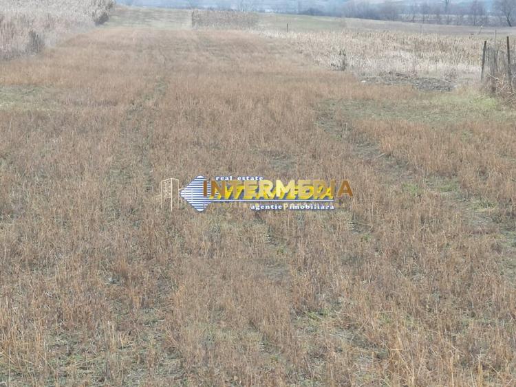 Teren Construcții intravilan de 4200 mp, în Cetate