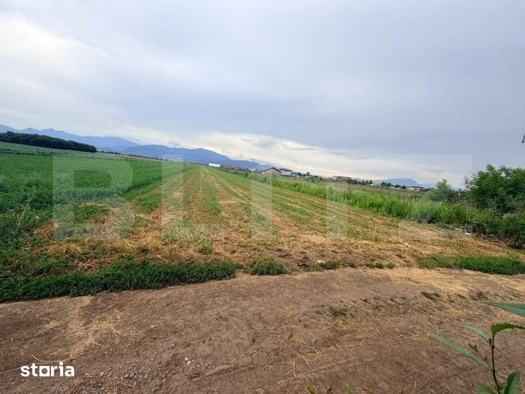 Teren de 4350 mp, în Stupini