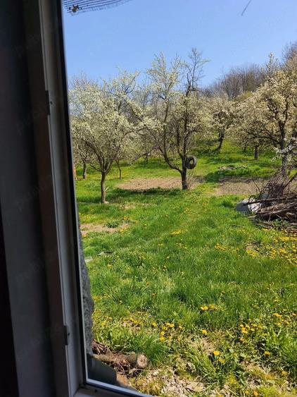 Casă cu 2 camere cu Teren 3000 Mp în Central