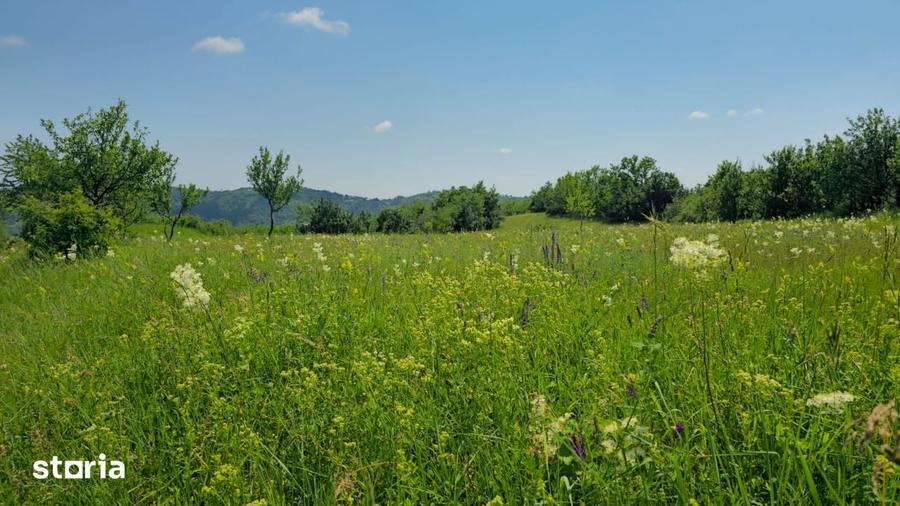 Teren de vanzare 6.352 mp Slavu (Prahova), extravilan, cale de acces - 2