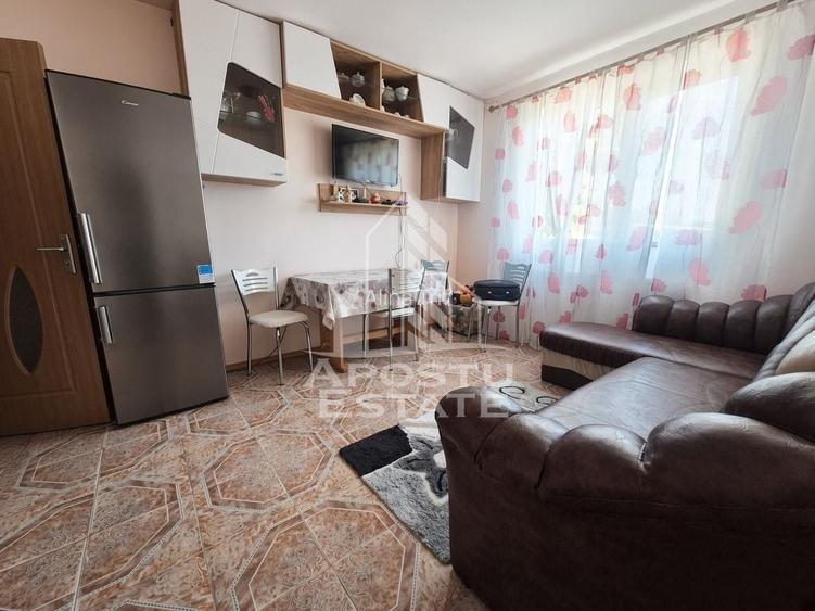 Apartament cu 2 camere de vanzare, Peciu Nou, Judet Timis