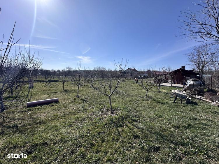 Teren de 3000 mp, în Mischii