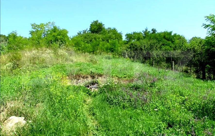 Investitie !Teren extravilan,15554 mp, zona in plina dezvolt - 1