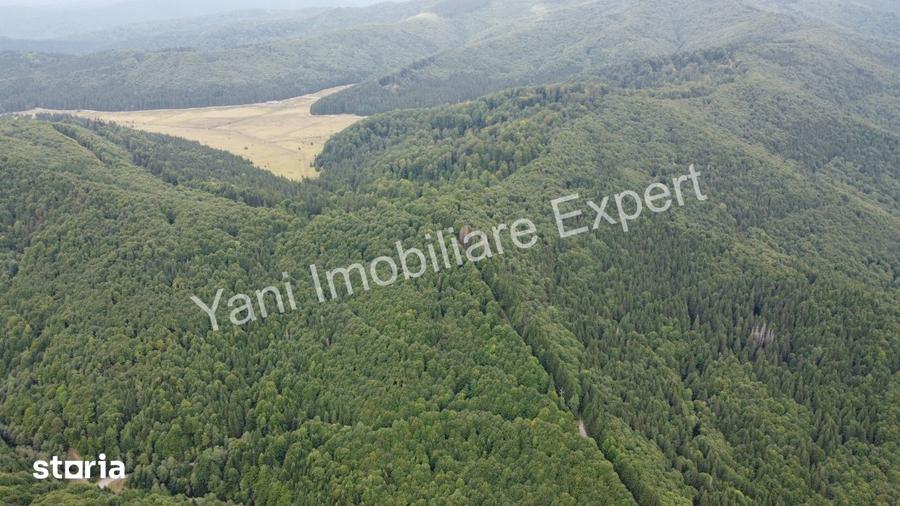 Teren de vanzare pe Transfagara?an, zona Molivi?u ( 69.450 mp ) - 16