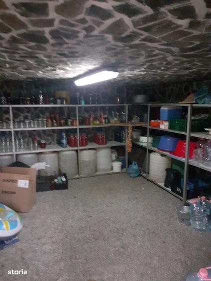 Casă cu 4 camere cu Teren 19200 Mp în Creaca