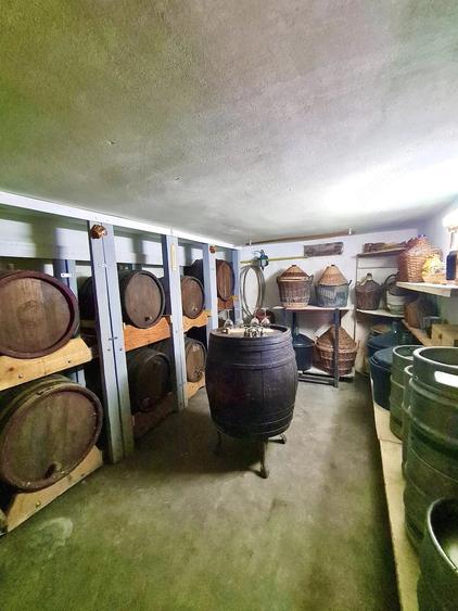 Casă cu Teren 390 Mp în Ultracentral