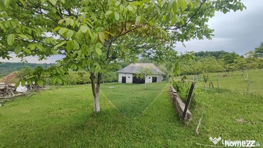 Casă cu 4 camere cu Teren 11769 Mp în Munteni