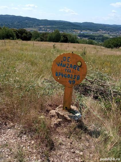 Teren în Sud