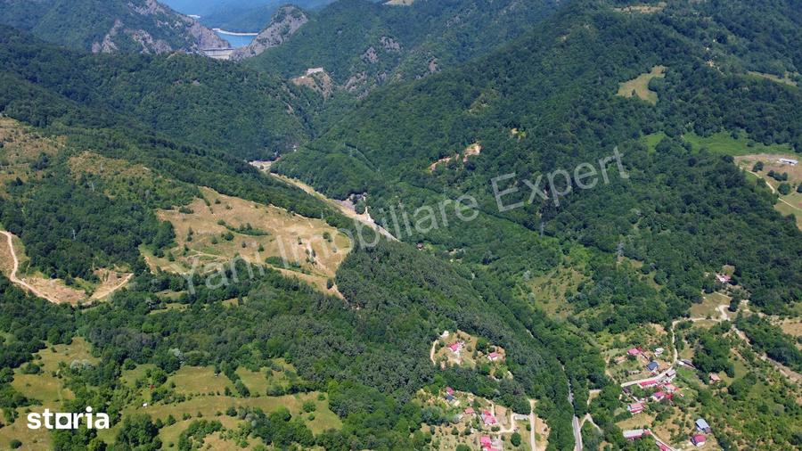 Teren de vanzare pe Transfagara?an ( 75.200 mp ) - 13