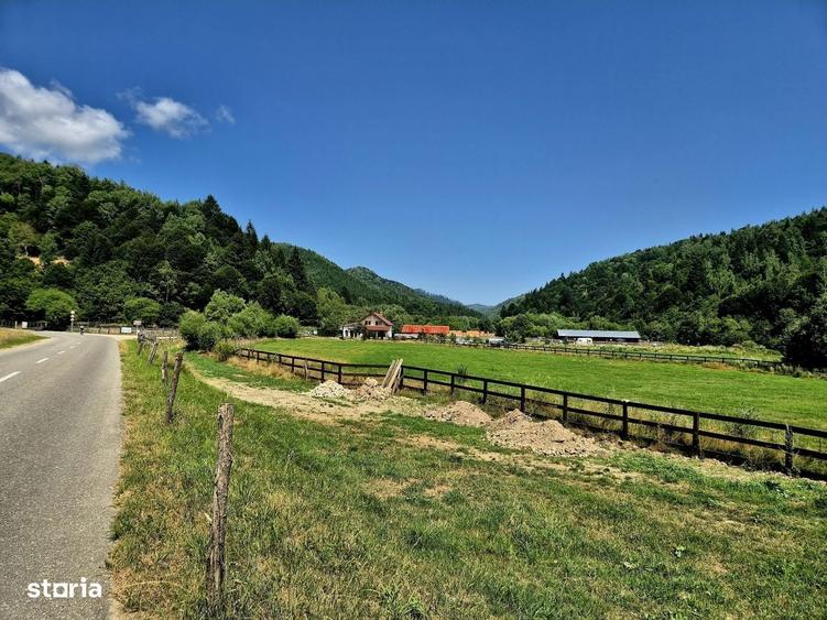 Oportunitate investitie resort/complex /pensiune ,Plaiul Foii Zarnesti - 4