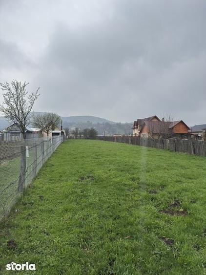 Teren Triaj Darmanesti - 3