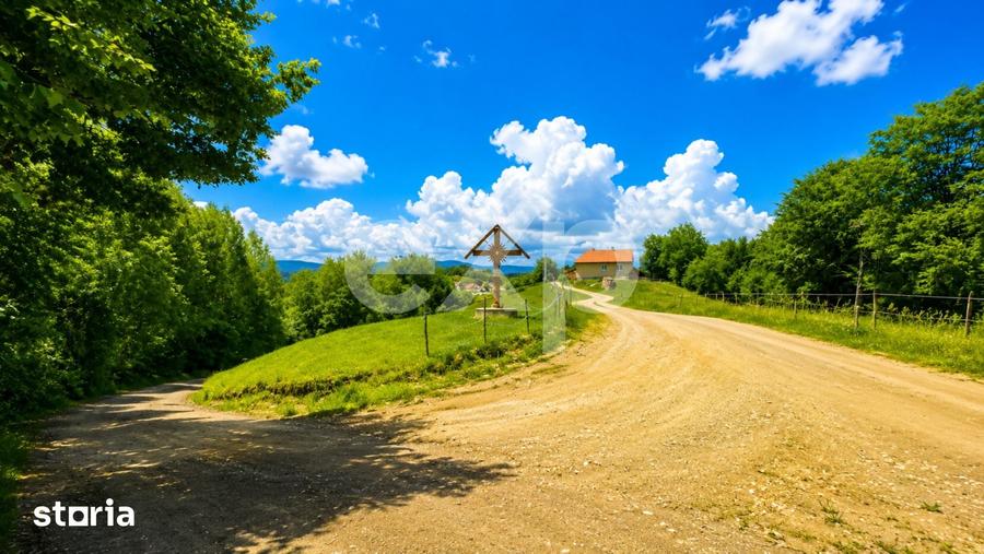 PANORAMA POIANA MARULUI | Teren cu potential de dezvoltare zona Afte - 4