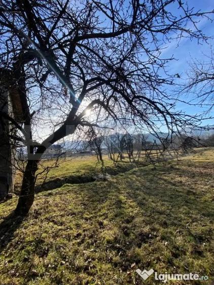 Casă cu 4 camere cu Teren 3000 Mp în Central