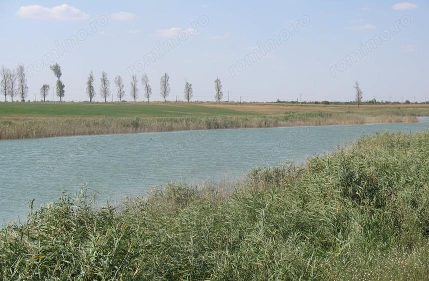 Teren de 430000 mp, în Crunți