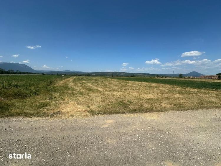 Teren 5000 mp Glajerie, zona Rasnov - 5