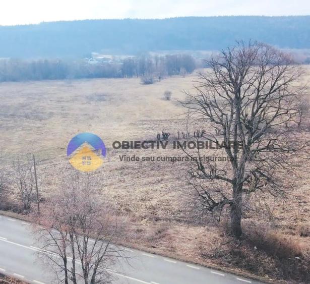 Teren intravilan de 3035 mp, în Bodești