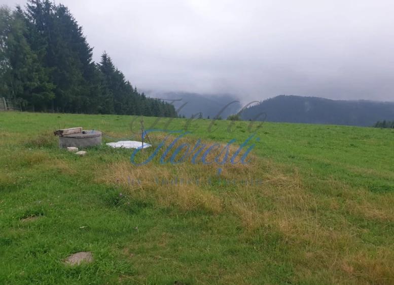 Teren agricol extravilan de 10989 mp, în Râșca