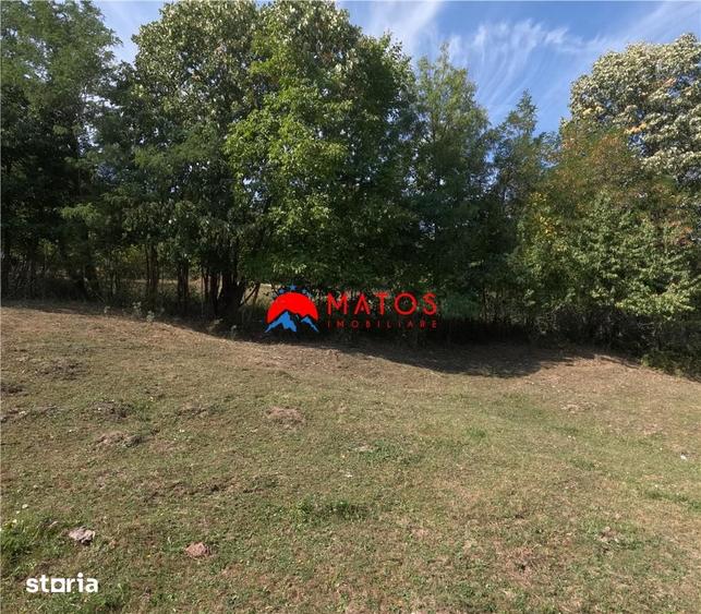 Teren de 3526 mp, în Poiana