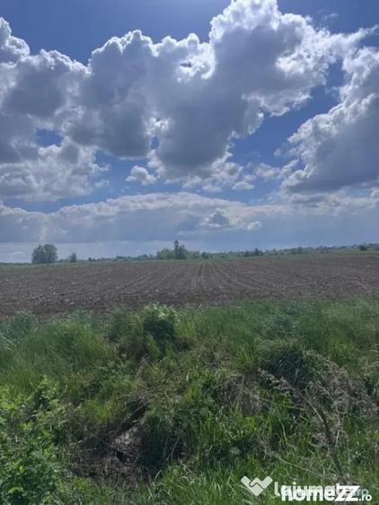 Teren de 7800 mp, în Rădăuți