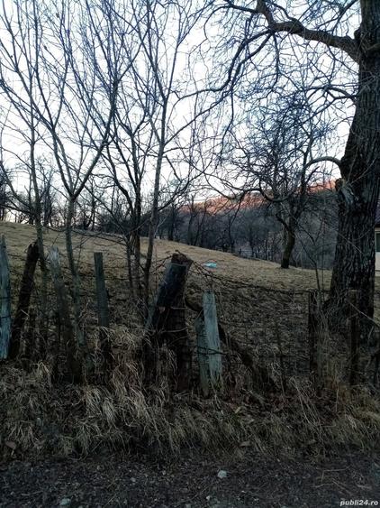 Teren de 1600 mp, în Lunca (Moroeni)