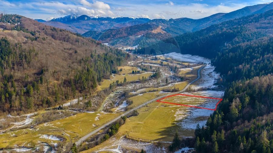 Teren de 10000 mp, în Brădet
