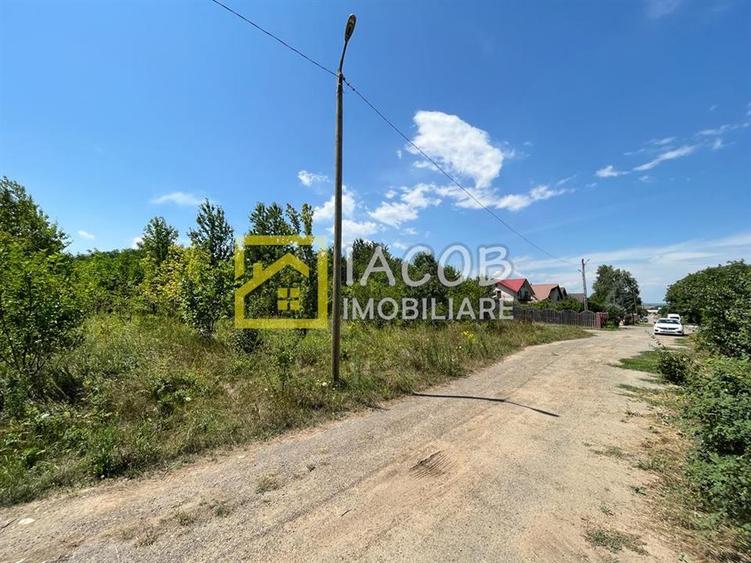 Teren Construcții intravilan de 5165 mp, în Narcisa