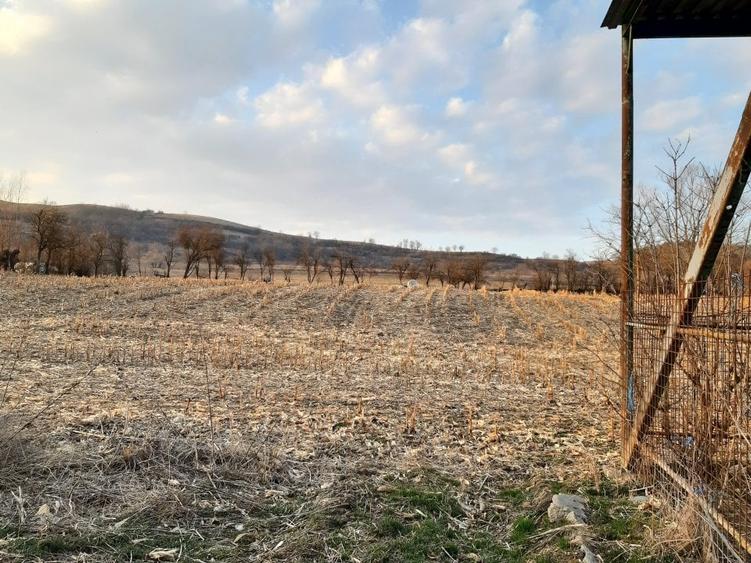 Casă cu 5 camere cu Teren 46000 Mp în Coroi
