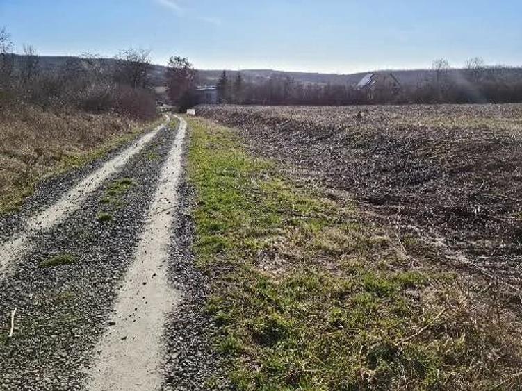 Teren de 1064 mp, în Viile Satu Mare
