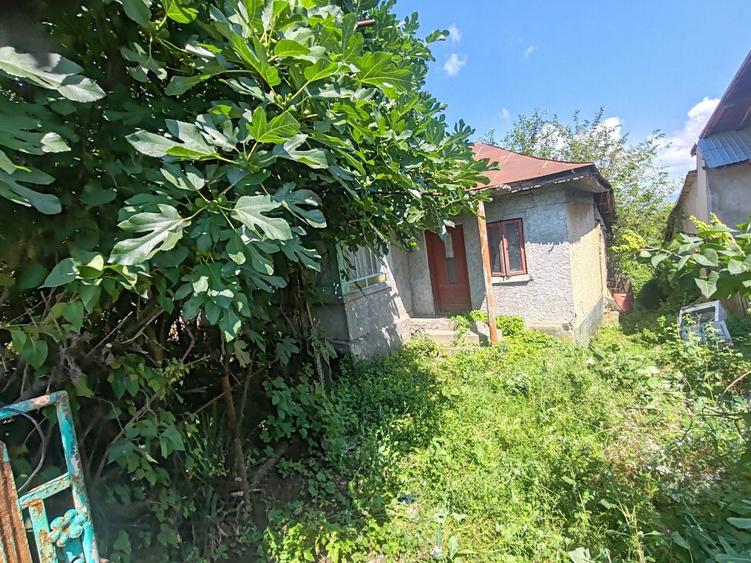Spațiu comercial, în Boldești