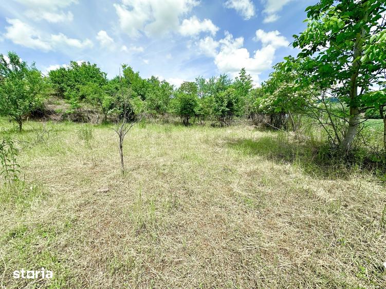 Casă cu 2 camere cu Teren 1384 Mp în Alma