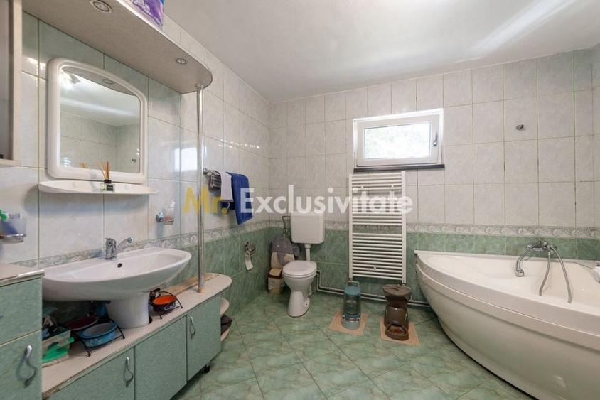 Casa visurilor cu livada roditoare si gradina amenajata - 1