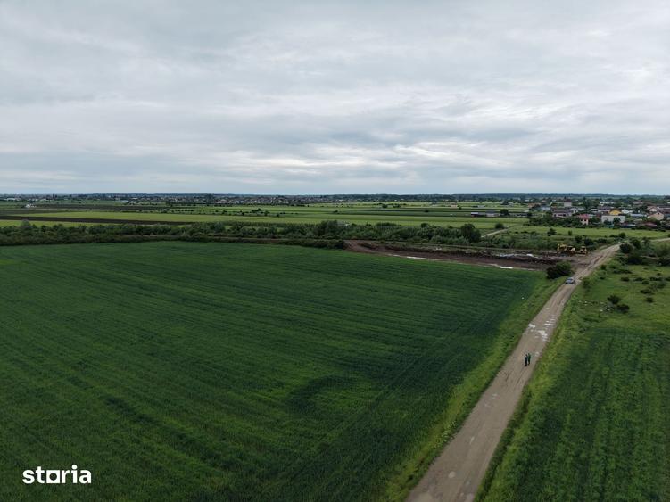 Teren de 5000 mp, în Ciorogârla