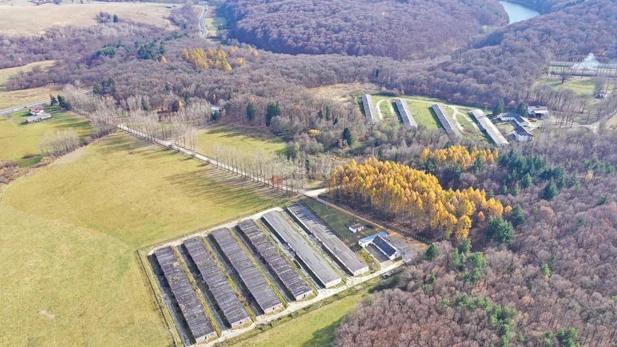 Teren Construcții intravilan de 186000 mp, în Exterior Vest