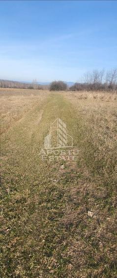 Teren agricol extravilan de 15224 mp, în Bârsa