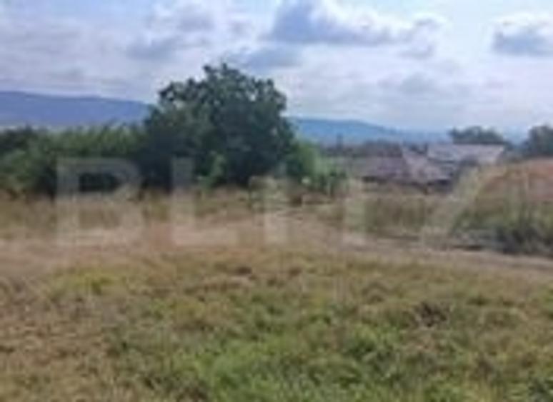 Teren Construcții intravilan de 2358 mp, în Luna