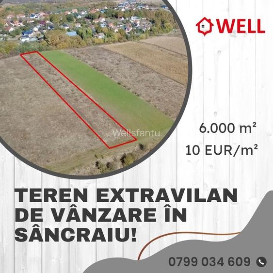 Teren extravilan de vânzare în Sâncraiu!