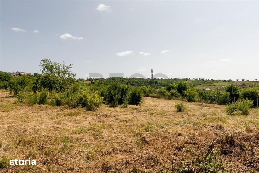 Teren de 1200 mp, în Oncea