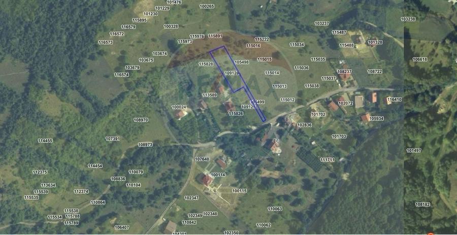 Teren Construcții intravilan de 1697 mp, în Cisnădioara