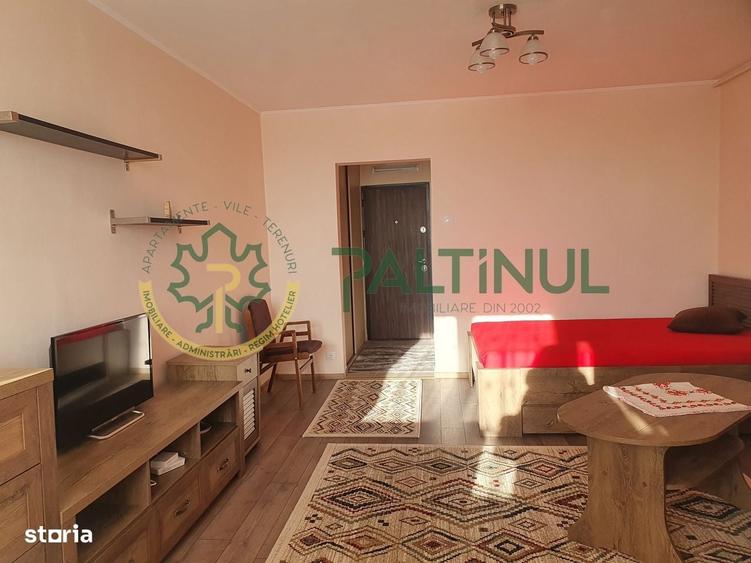 Garsoniera moderna pe Vasile Milea, Sibiu - 6